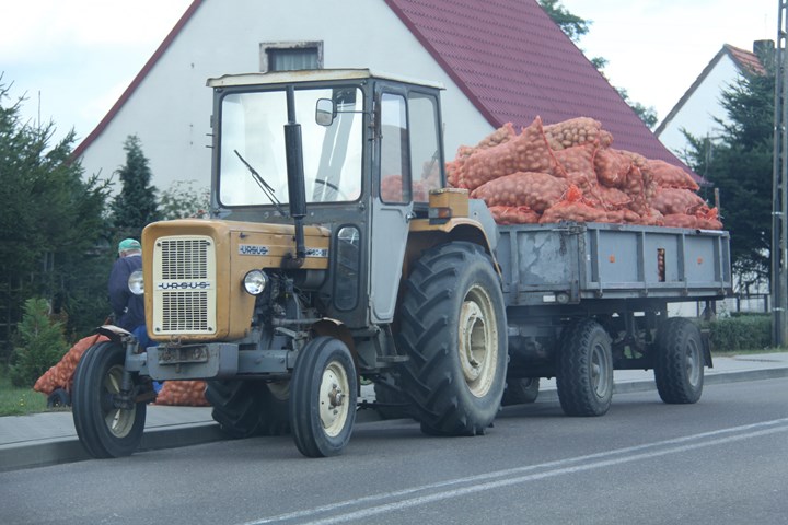 Polen aardappeloogst Agrifoto